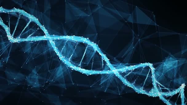 Mozgó háttér digitális sokszög Plexus DNS molekula 4k hurok — Stock videók