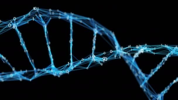 Sfondo di movimento Molecola di DNA del plesso binario digitale Alpha Matte 4k Loop — Video Stock