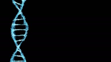 Hareketli arka plan dijital ikili çokgen pleksus Dna molekülü 4k döngü Alpha mat