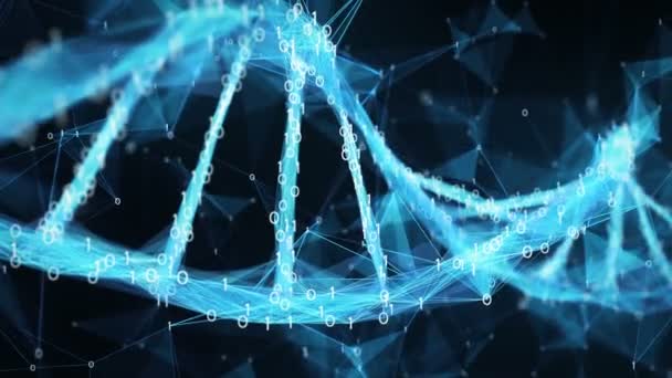 Fondo de movimiento abstracto - Digital Binary Polygon Plexus DNA molecule 4k Loop — Vídeo de stock