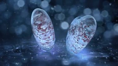 Arka plan Loop 4 k iki döner mavi buz cam kalp kırmızı topları ile hareket
