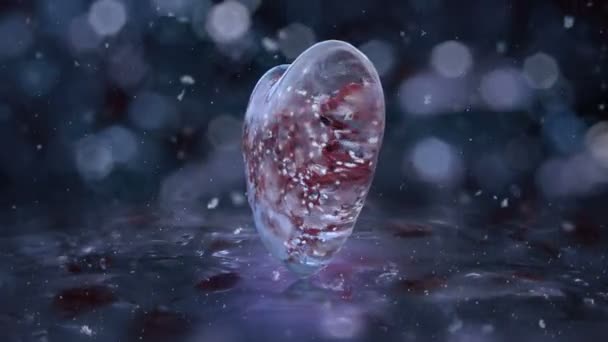 Περιστρεφόμενη μπλε πάγου γυάλινη καρδιά με νιφάδες χιονιού, κόκκινα πέταλα κίνησης φόντο βρόχο — Αρχείο Βίντεο