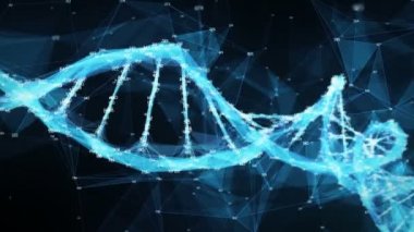 Hareketli arka plan dijital çokgen pleksus Dna molekülü rasgele digits döngü