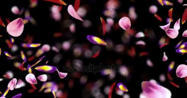 Wir Flying czerwony różowy fioletowy Sakura kwiat płatki tło alfa matowy pętli 4k — Wideo stockowe