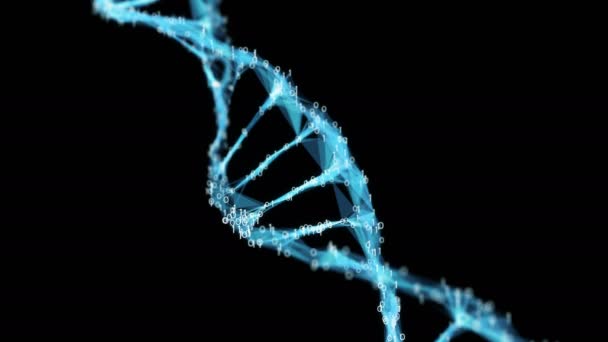 Фон движения Цифровой бинарный полигон Молекула ДНК сплетения 4k Петля Альфа Матте — стоковое видео