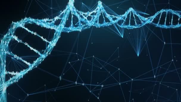 Mozgó háttér digitális bináris Plexus DNS molekula helyőrző 4k hurok — Stock videók