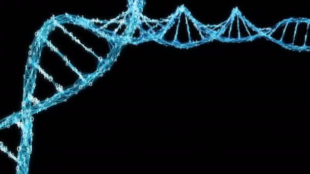 Molécula de ADN de plexo de binario Digital de fondo de movimiento lazo alfa mate 4k — Vídeos de Stock