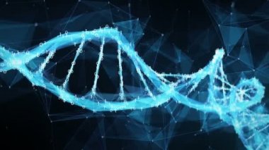 Hareketli arka plan - dijital ikili çokgen pleksus Dna molekülü 4k döngü