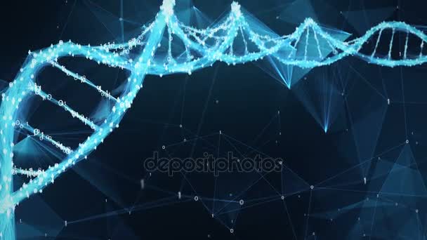 Fondo de movimiento abstracto - Digital Binary Polygon Plexus DNA molecule 4k Loop — Vídeo de stock