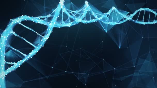 Fondo de movimiento Digital Polygon Plexus DNA molecule 4k Loop — Vídeos de Stock