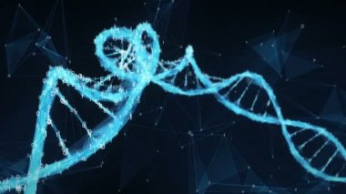 Dijital ikili çokgen pleksus Dna molekülünün soyut gösterimi. Görsel, biyoloji, biyoteknoloji, kimya, bilim, ilaç, kozmetik veya hareketli arka plan olarak. Sorunsuz döngü.
