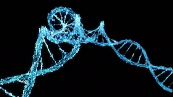 Motion bakgrund Digital binära Plexus Dna-molekylen Alpha Matt 4k Loop — Stockvideo