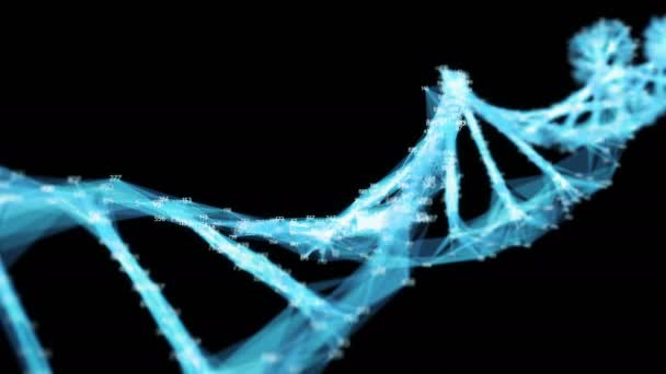 Digitális sokszög Plexus DNS molekula véletlenszerűen kiválasztott számjeggyel hurok alfa-csatorna — Stock videók