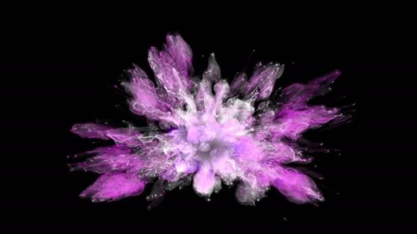 Color Burst - coloré magenta rose fumée explosion fluide particules alpha mat — Video