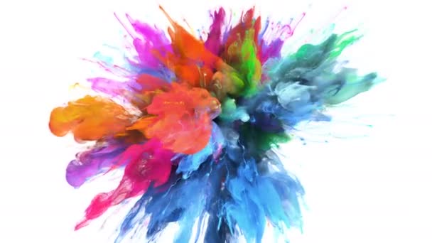 Колір Вибух - барвистий синій пурпуровий дим вибух частинок рідини альфа матовий — стокове відео
