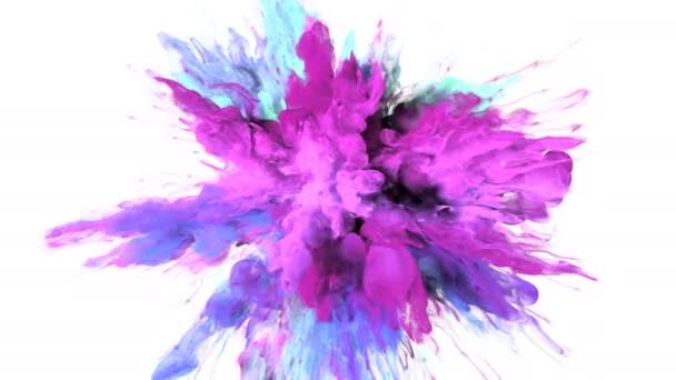 Color Burst - barevné fialové růžové kouře exploze částice kapaliny Alfa podkladu