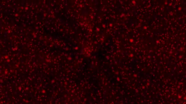 Piros mozgás háttér alá disocused izzó bokeh fények vagy hó hurok 4k — Stock videók