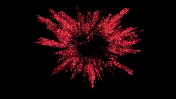 Love heart shaped Valentine's Day glitter burst explosion alpha copy space 4k — Stock Video