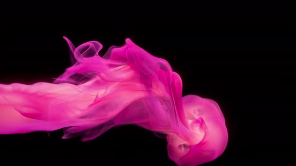 Ροζ χρώμα μελάνι σταγόνες χρώμα στο νερό μελανί σύννεφο στροβιλίζονται καπνού άλφα 4k Prores422 — Αρχείο Βίντεο
