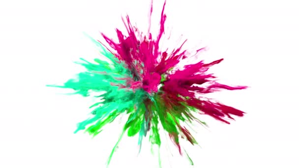 Color Burst - colorful smoke powder explosion fluid ink particles alpha matte — Stock Video