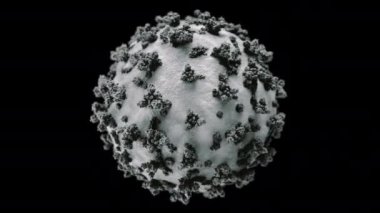 2019-nCov COVID-19 Coronavirus Corona virüs hücreleri H1N1 Gribi 2020