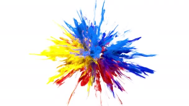 Color Burst - színes füst por robbanás folyadék tinta részecskék alfa matt — Stock videók