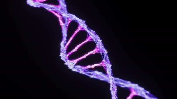 분리되어 있는 디지털 플 렉서스 DNA 분자 가닥 분홍빛 보라색 알파 매트 — 비디오