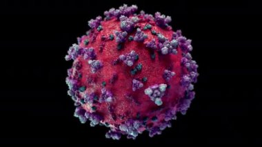 2019-nCov COVID-19 Coronavirus Corona virüs hücre gribi H1N1 Gribi 2020