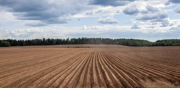 Bitkileri, Beyaz Rusya dikim için toprak hazırlama