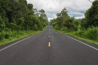 Uzun düz asfalt yol yokuş yukarı orman ile simetrik oluşturma