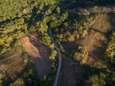 Asfalt yol, tarım ve orman havadan görünümü 