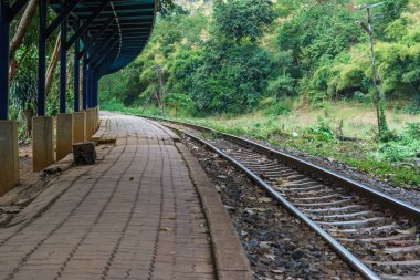 Boş tren yolu ve yeşil orman platformu