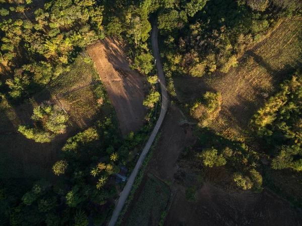 Aerial view of asphalt road, farm and forest at dawn — Stock Photo, Image