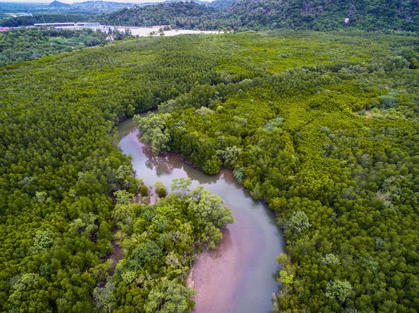 Aerial view of river in mangrove forest in Pranburi, Thailand — Stock Photo, Image