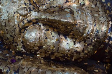 Buda kafa altın yapraklarla kaplı siyah uyku