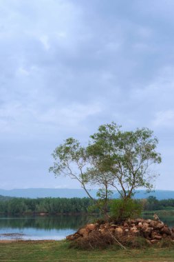 Göl, orman ve bulutlu gökyüzü taş yığını ağaçta