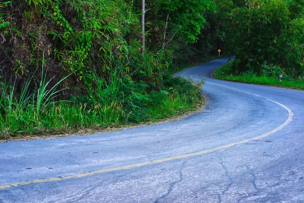 Gammal asfalt vägen svänger in skogen med slingrande vägmärke — Stockfoto