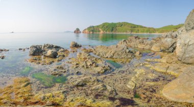 Japon Denizi kayalık sahil şeridi