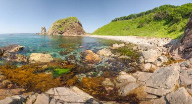 Japon Denizi kayalık sahil şeridi