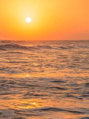 Japon Denizi kayalık sahil şeridi