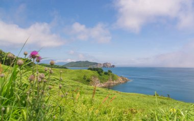 Japon Denizi kayalık sahil şeridi