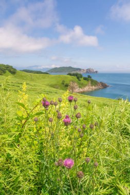 Japon Denizi kayalık sahil şeridi
