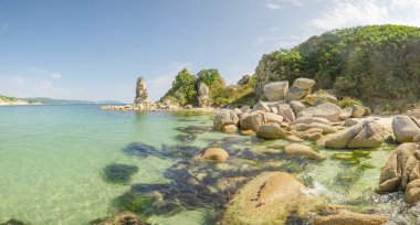 Japon Denizi kayalık sahil şeridi