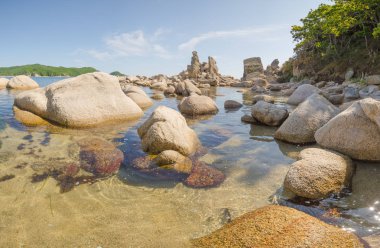 Japon Denizi kayalık sahil şeridi