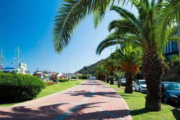 Uma rua com palmeiras perto do porto de Alanya — Fotografia de Stock