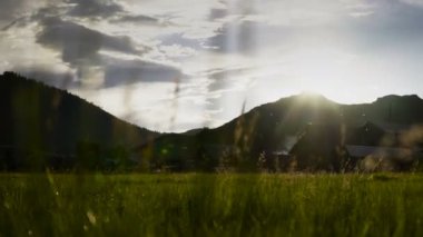 dağ orman ile manzara