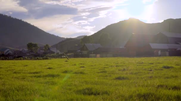 Paisaje en la montaña con bosque — Vídeos de Stock