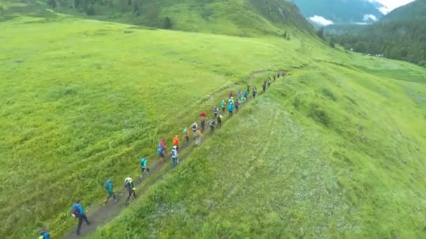 Disparo aéreo de un grupo de atletas corriendo en el arbusto en las colinas — Vídeo de stock