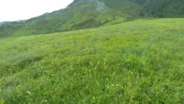 Vue Aérienne. Vol au-dessus d'une verdure collines rocheuses herbeuses . — Video
