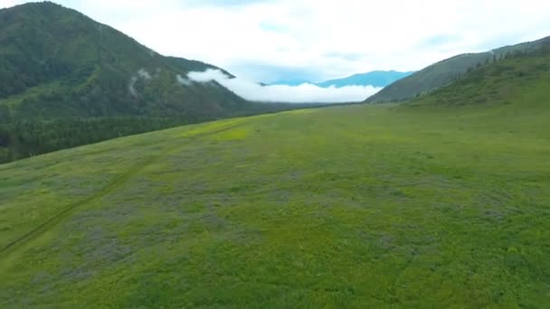 Вид з повітря. Політ над зеленими трав'янистими скелястими пагорбами . — стокове відео